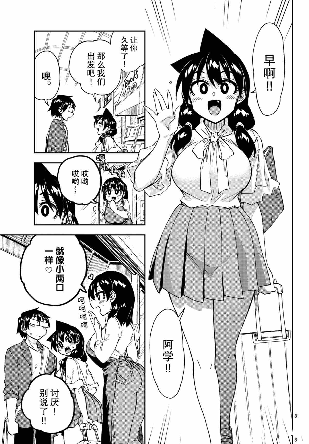 第3页