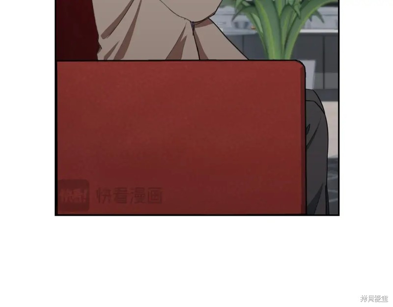 第204页