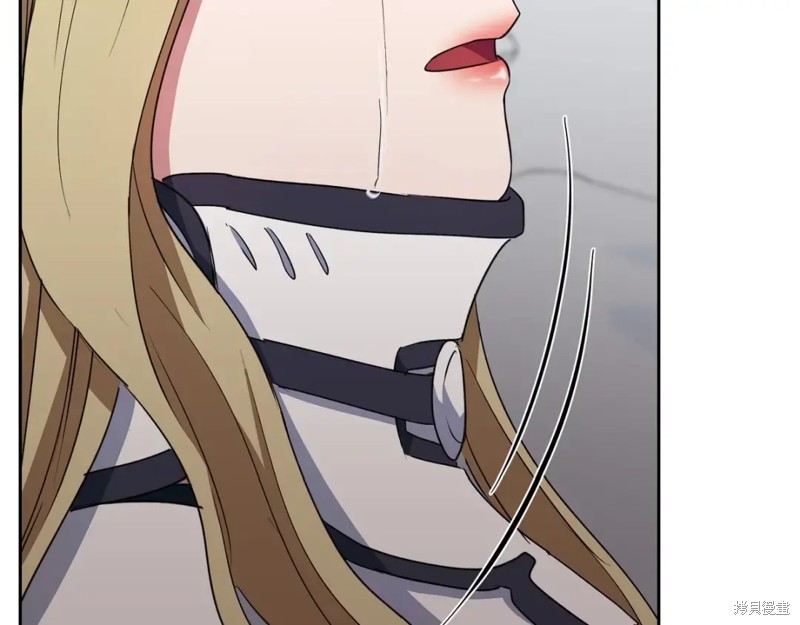 第217页